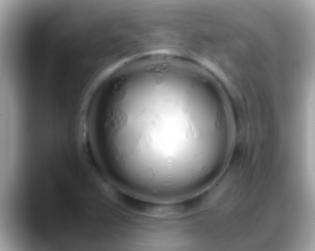 X0000088641367200706011155