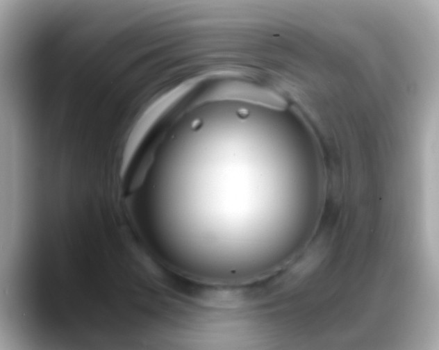 X0000088641369200706011155