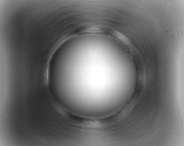 X0000088641370200706011155