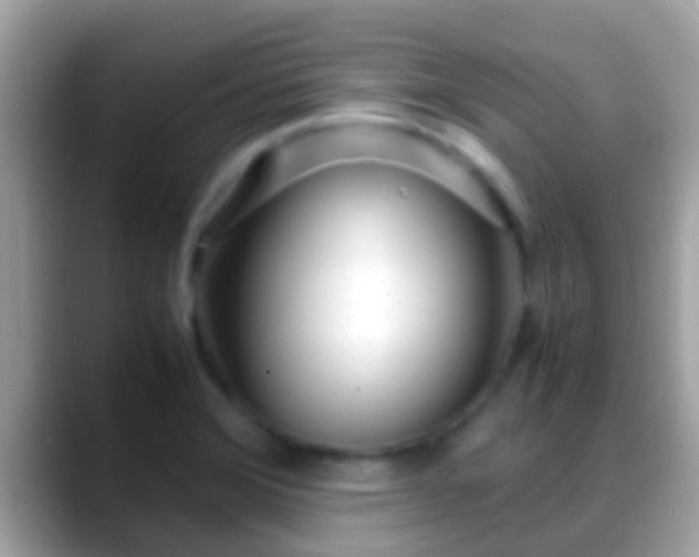 X0000088641372200706011155