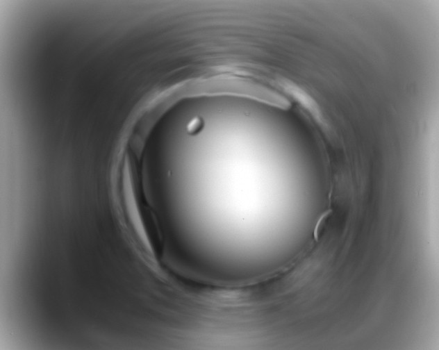 X0000088641373200706011155