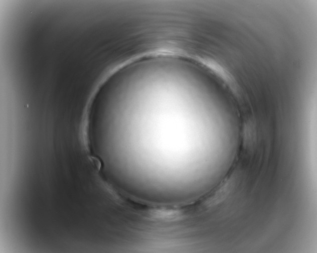 X0000088641374200706011155
