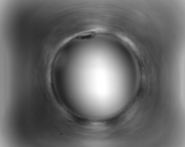 X0000088641375200706011155