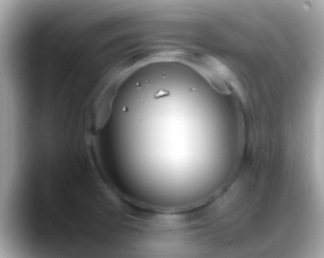 X0000088641377200706011155