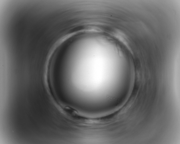X0000088641379200706011155