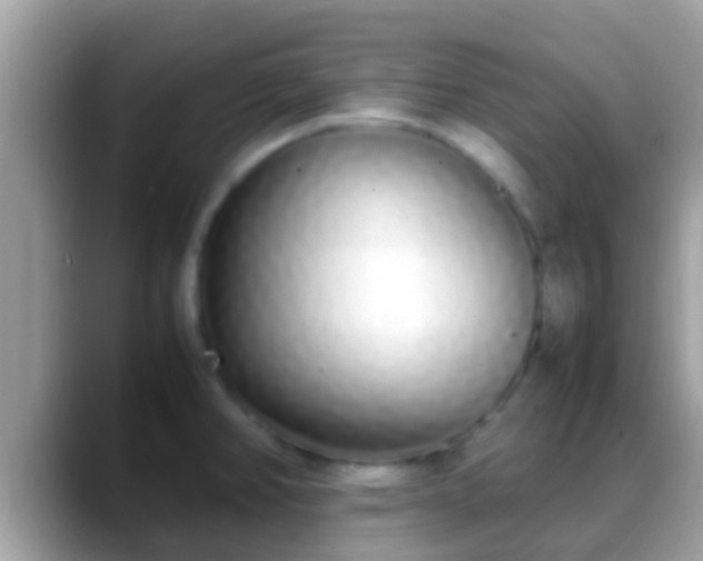 X0000088641382200706011155