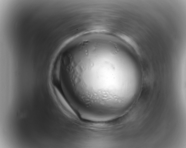 X0000088641383200706011155