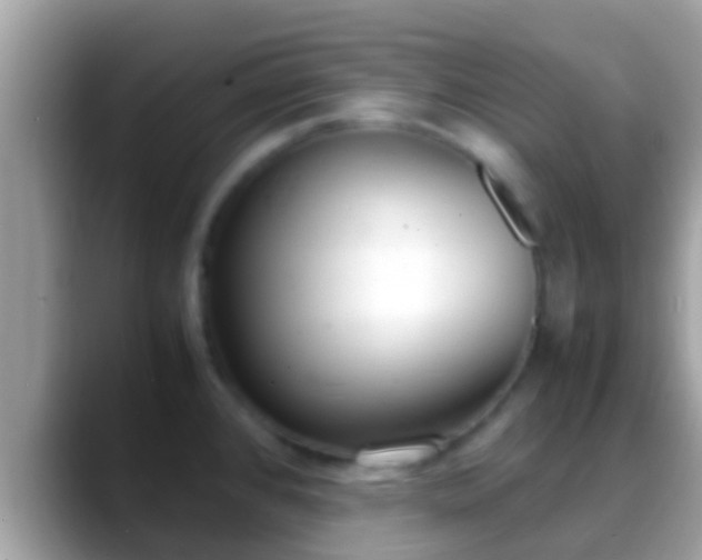 X0000088641384200706011155