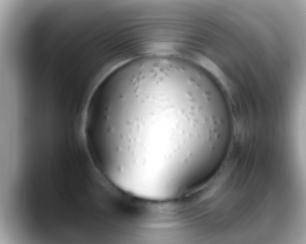 X0000088641386200706011155