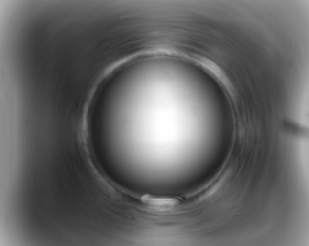 X0000088641388200706011155