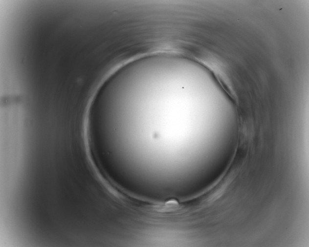 X0000088641391200706011154