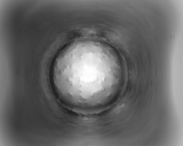 X0000088641393200706011154