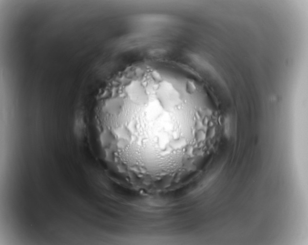 X0000088641395200706011154