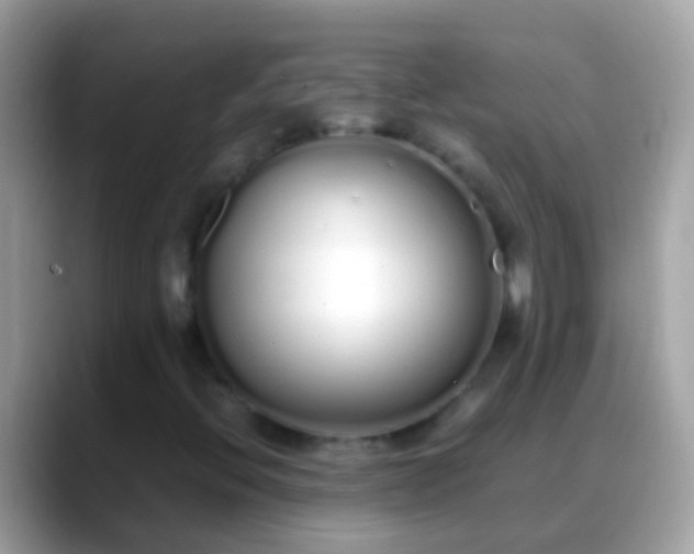 X0000088641396200706011154
