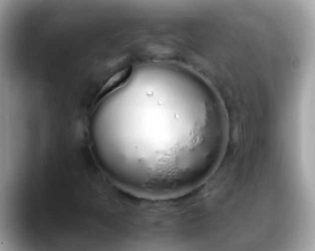 X0000088641397200706011154