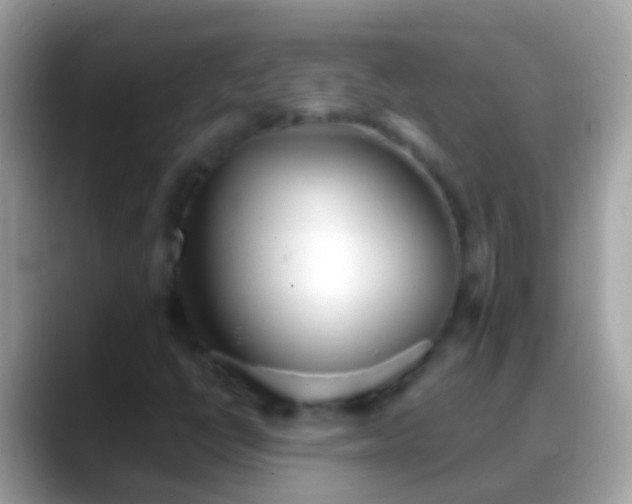 X0000088641398200706011154