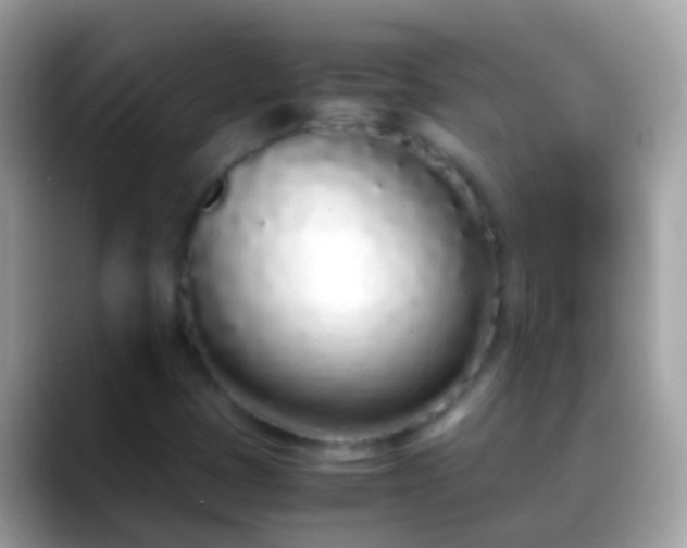 X0000088641401200706011154