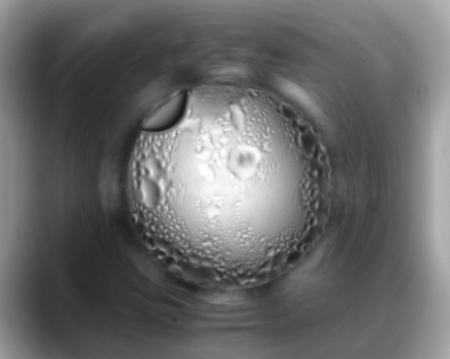 X0000088641403200706011154