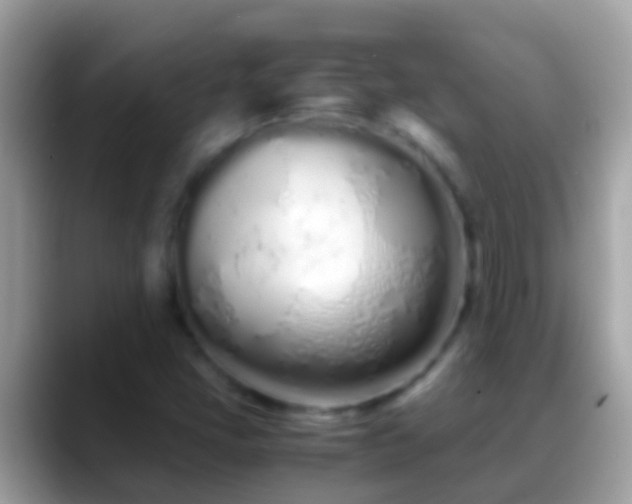 X0000088641405200706011154