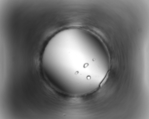 X0000088641406200706011154