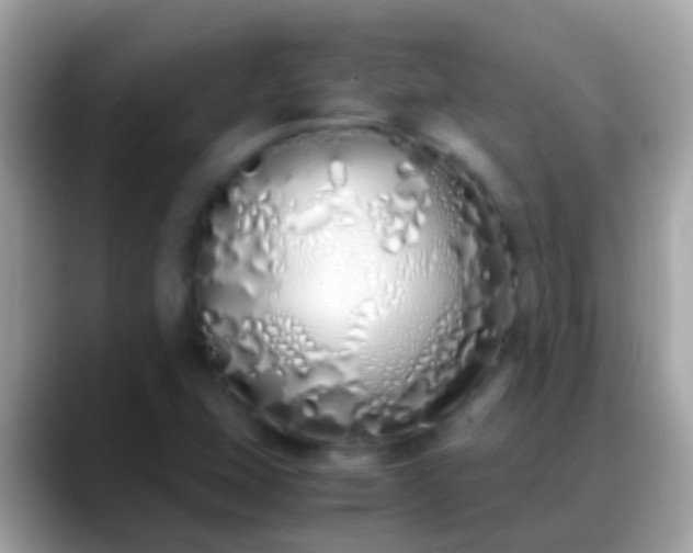 X0000088641407200706011154