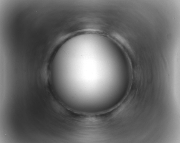 X0000088641408200706011154