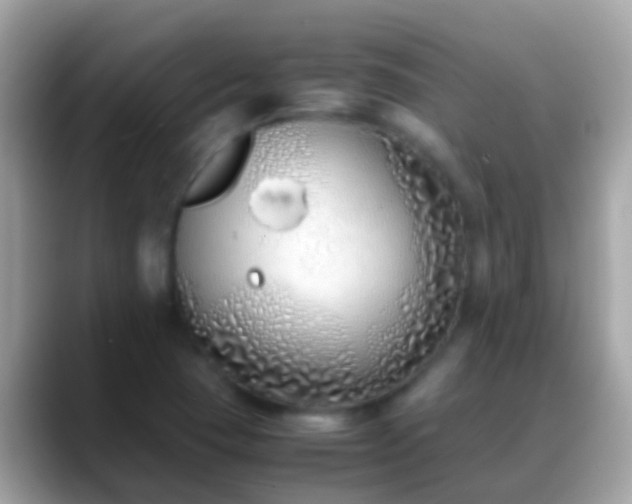 X0000088641409200706011154