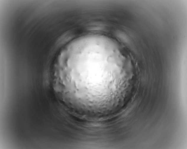 X0000088641411200706011154