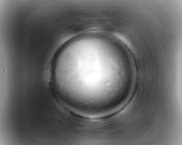 X0000088641413200706011154