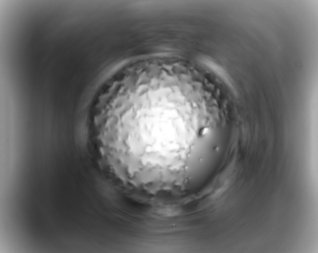 X0000088641415200706011154