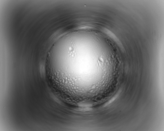 X0000088641417200706011154