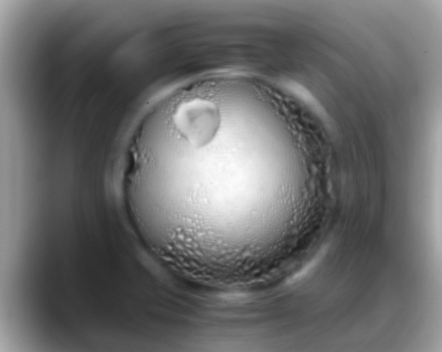 X0000088641421200706011154