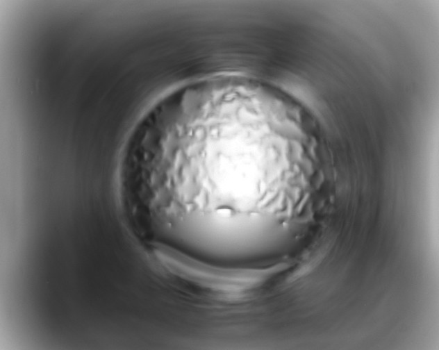 X0000088641423200706011154