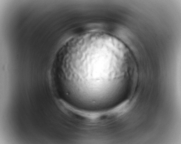 X0000088641425200706011154