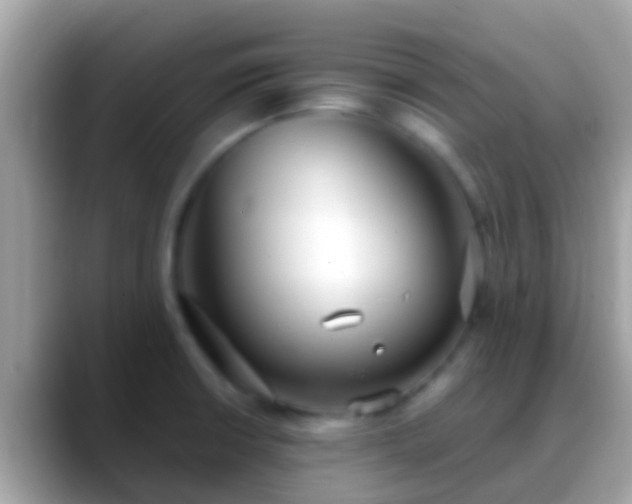X0000088641426200706011154