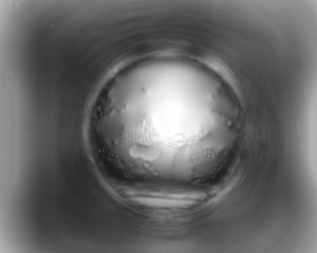 X0000088641429200706011154