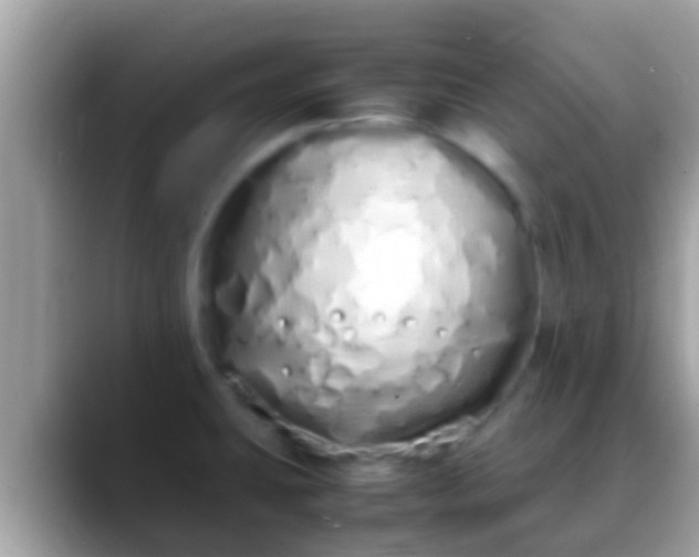 X0000088641431200706011154