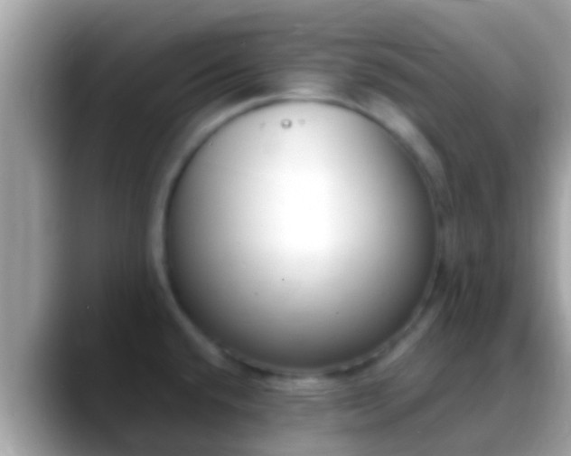 X0000088641432200706011154