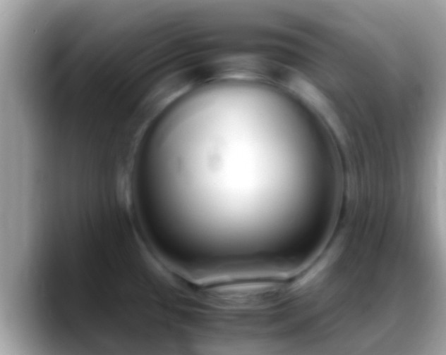 X0000088641433200706011154