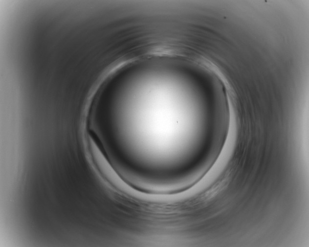 X0000088641434200706011154
