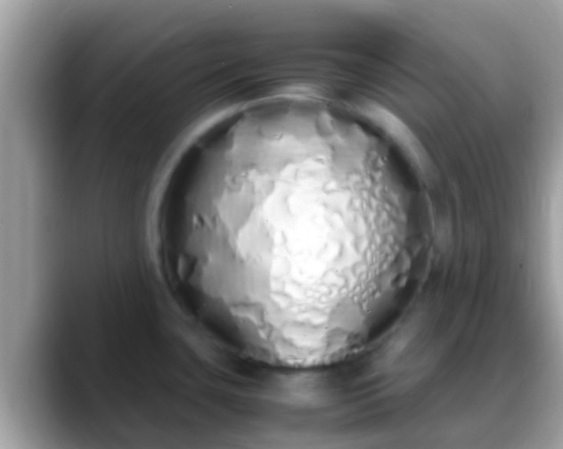 X0000088641435200706011154