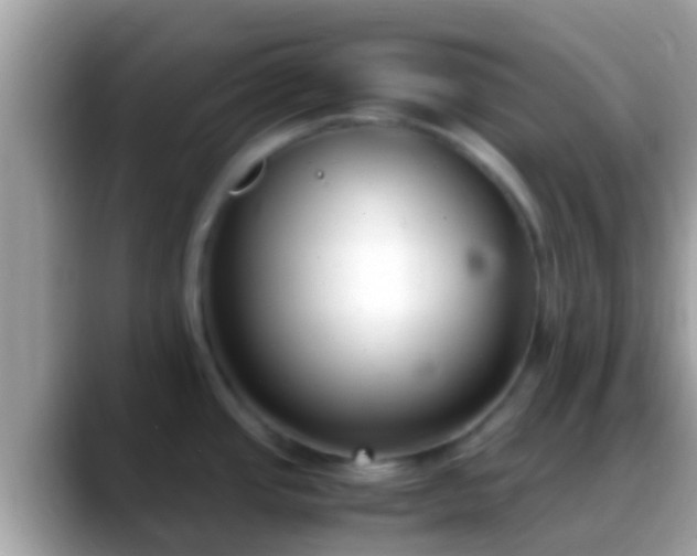 X0000088641437200706011154