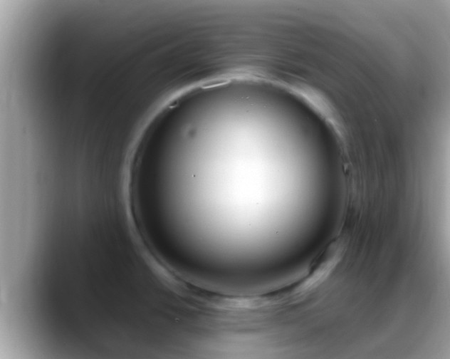 X0000088641438200706011154