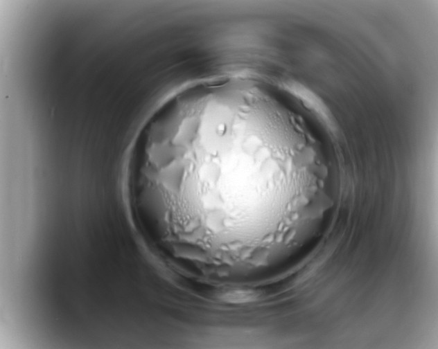 X0000088641439200706011154