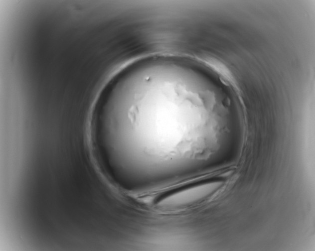 X0000088641440200706011154