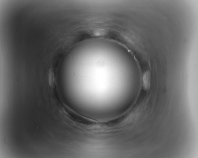X0000088641443200706011154
