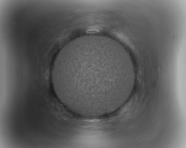 X0000088641445200706011154