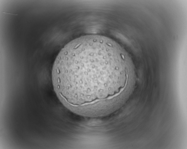 X0000088641446200706011154
