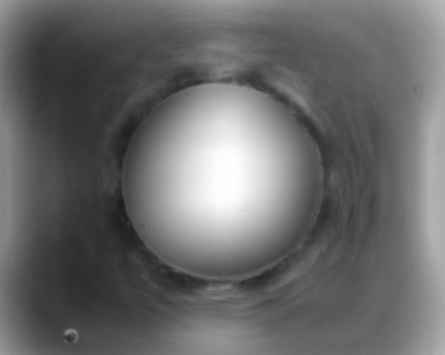 X0000088641447200706011154