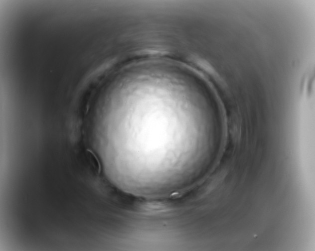 X0000088641448200706011154